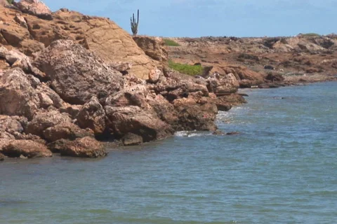 NTSC: Beach with pollution Stock Footage 153209
