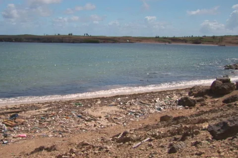 NTSC: Beach with pollution Stock Footage 153210