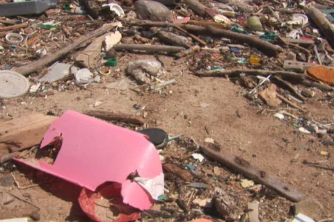 NTSC: Beach with pollution Stock Footage 153214