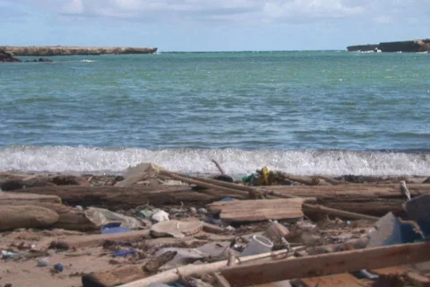 NTSC: Beach with pollution Stock Footage 153219