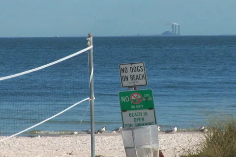 NTSC: Beach with signs Stock Footage 358175