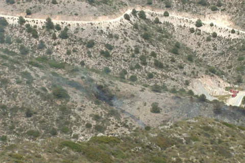 NTSC: Brush fire Stock Footage 484316