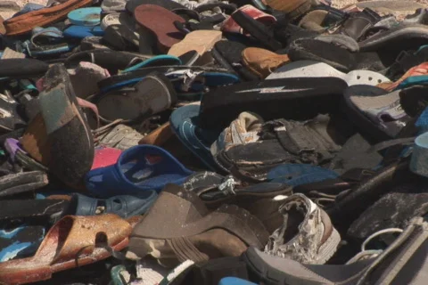 NTSC: Driftwood Stock Footage 153283