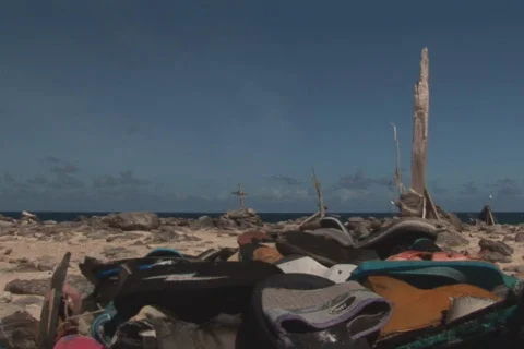 NTSC: Driftwood Stock Footage 153286