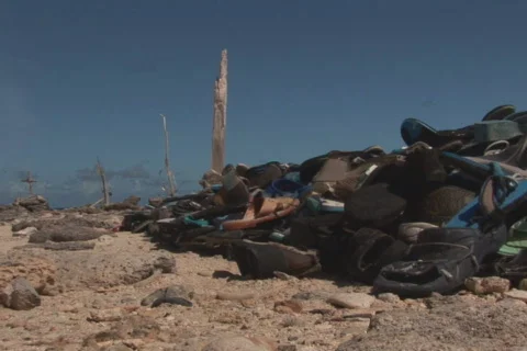 NTSC: Driftwood Stock Footage 153287