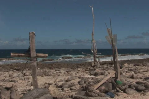 NTSC: Driftwood Stock Footage 153288