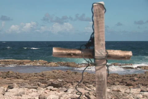 NTSC: Driftwood Stock Footage 153292