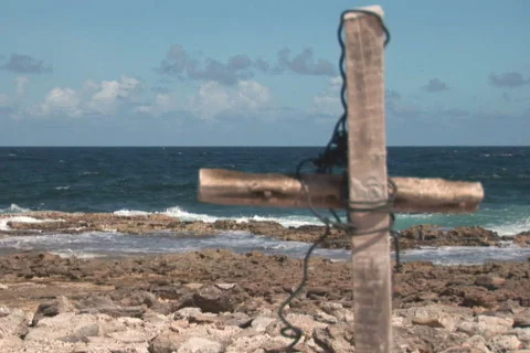 NTSC: Driftwood Stock Footage 153297