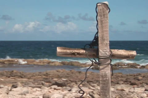 NTSC: Driftwood Stock Footage 153298