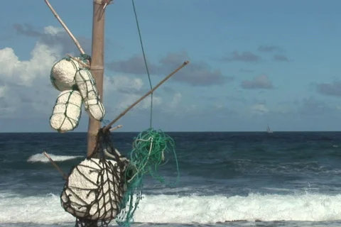 NTSC: Driftwood Stock Footage 153301