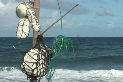 NTSC: Driftwood Stock Footage 153302