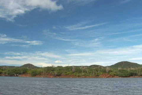 NTSC: Flamingo's Stock Footage 153569
