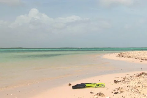 NTSC: flippers mask on beach Stock Footage 153637