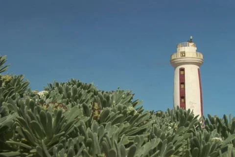NTSC: Lighthouse Stock Footage 153303