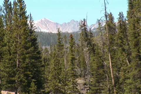NTSC: Mountain &amp; flowers Stock Footage 93946
