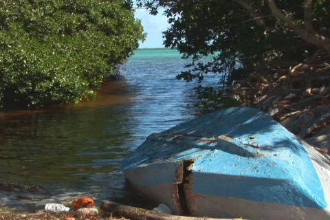 NTSC: Old rowboats Stock Footage 153244