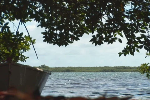 NTSC: Old rowboats Stock Footage 153253