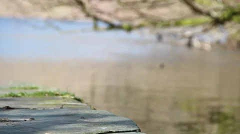 (NTSC) Pull Focus Stone Pier Tree Reflections Over Beautiful Water Lake District Stock-Footage 41007257