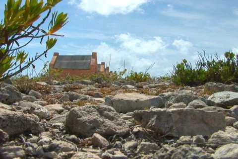 NTSC: Red Slave Huts Stock Footage 153490