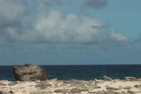 NTSC: Rough coast Stock Footage 153269