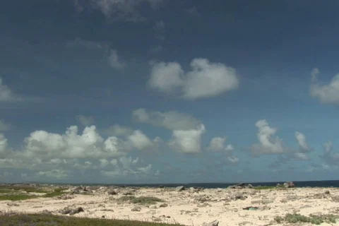 NTSC: Rough coast Stock Footage 153272