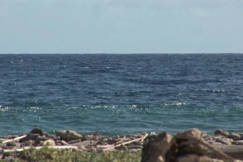 NTSC: Ruin Stock Footage 153307