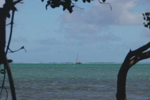 NTSC: Sailboat Stock Footage 153224