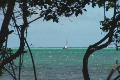 NTSC: Sailboat Stock Footage 153236