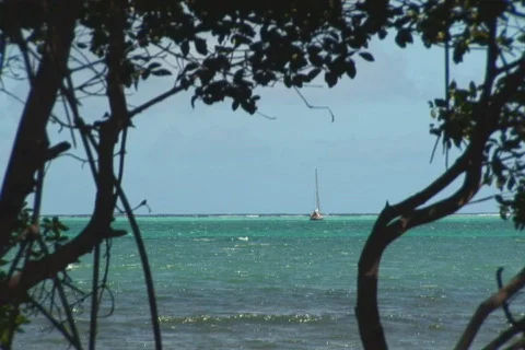 NTSC: Sailboat Stock Footage 153241