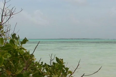 NTSC: Sailboat Stock Footage 153608