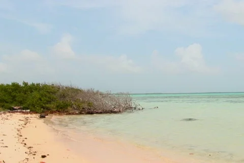 NTSC: Sailboat Stock Footage 153612