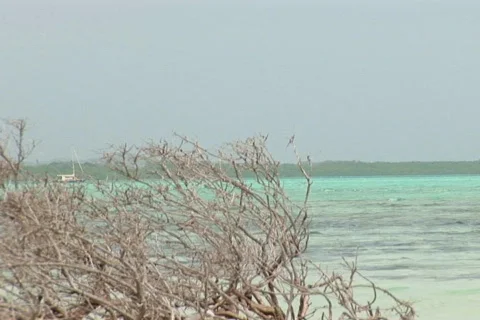 NTSC: Sailboat Stock Footage 153613