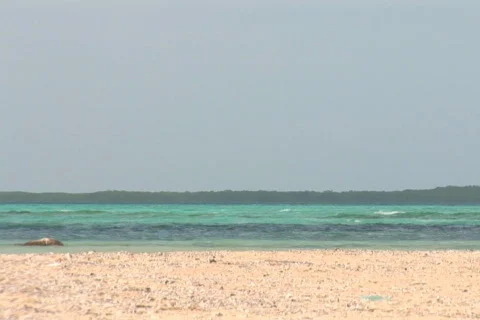 NTSC: Sailboat Stock Footage 153625