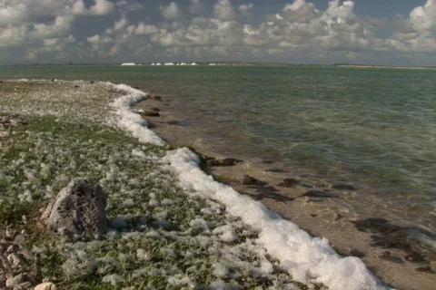 NTSC: Salt  Stock Footage 153342