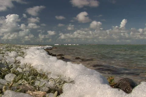 NTSC: Salt  Stock Footage 153345