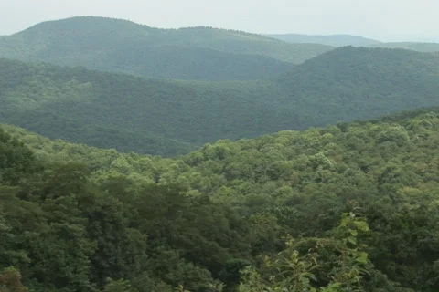 NTSC Shenandoah wide Stock Footage 92579