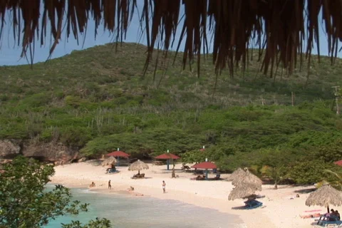 NTSC: Tropical beach Stock Footage 153394