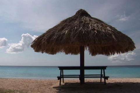 NTSC: Tropical beach Stock Footage 153403