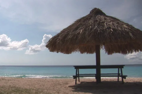 NTSC: Tropical beach Stock Footage 153404