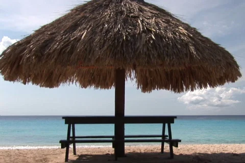 NTSC: Tropical beach Stock Footage 153405