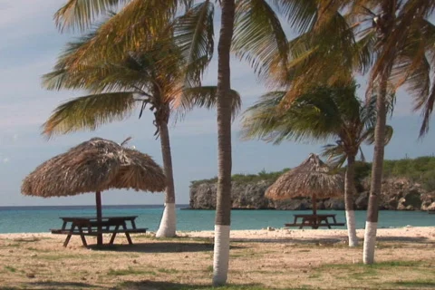 NTSC: Tropical beach Video stock 153410