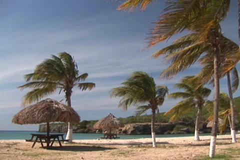 NTSC: Tropical beach Stock Footage 153412