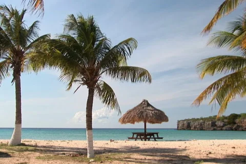 NTSC: Tropical beach Stock Footage 153415