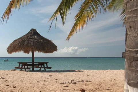 NTSC: Tropical beach Stock Footage 153422