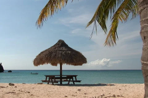 NTSC: Tropical beach Stock Footage 153424