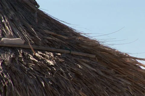 NTSC: Tropical beach Stock Footage 153425