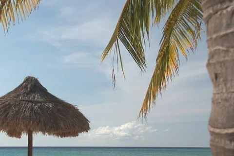 NTSC: Tropical beach Stock Footage 153426