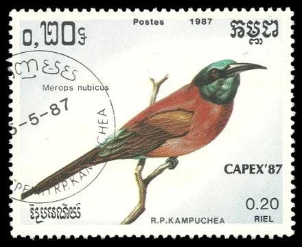 Nubian Bee eater Ilustração Stock