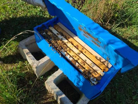 Nuc box Stock Photos