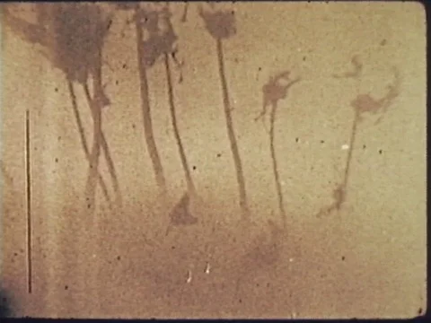 Nuclear Bomb Testing on Pacific Island Stock Footage 76205600